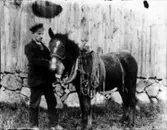 Fritiof Larsson, Lekeslätt Vånga.