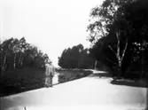 (uppgifter saknas) (troligen Pildammsparken i Malmö)