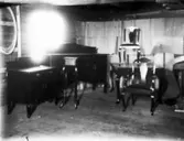 Troligen Hoflanders möbelaffär.