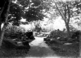 Alphems arboretum, de stora stenpartierna. Dessa kallade Gegerfelt för 