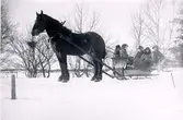 Slädfärd 1920. Kusk är Elof Bergman från Åkerholmen.