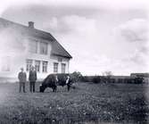 Harry Odén och Bertil Nyström, drängar på Öjevalla.