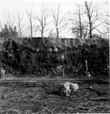 Schaktning genom över 2 meter mäktiga kulturlager.