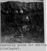 Schaktning genom det mäktiga kulturlagret.