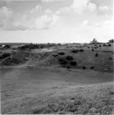 Komministerbstället, Oxlatomten. Kisakullarna.