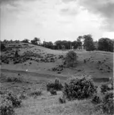 Komministerbstället, Oxlatomten. Kisakullarna.