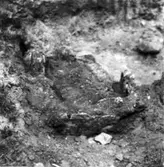 Stenkista framgrävd vid nybygge 1960 på torpställe under Seltorp.