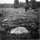 Undersökning av en bebyggelselämning (?) vid Ekesgärdet.