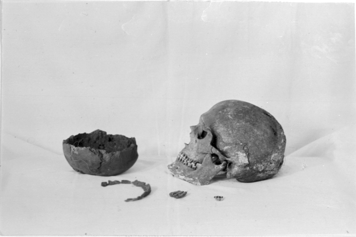 Hilding Svensson, A cranium from Grave No. 2. having a pair of deformations by stroke or trepanation, and grave gifts: Bronze beer, resin seal, clay vessels, horse tooth. Excavation and photo of Hilding Svensson
