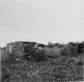 Mussla ödekyrka. (Sandhems by).