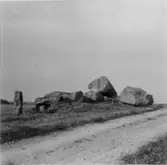 Nolgårdens gånggrift. Efter uppsnyggningen hösten 1955. Sahlströms nr 5. Grindstolpen till vänster står kvar. Foto från söder och Sydost.