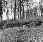 Den gamla källaren från gårdssidan.