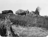 Gånggrift nr. 97 enl. Sahlströms förteckning.