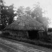 Ahlströms gård. Drevhus.