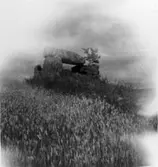 Knaggårdens gånggrifter.