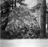 Rest sten vid skyttebanan.