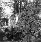 Dintestorps bränneri - ruin. Uppstegat 22 á 23 m. Invändigt mått i kvadrat. Murarnas tjocklek 4 m. Murarnas höjd invändigt 3 m. Murarnas höjd utvändigt 1,1 m. Körbron på norra sidan mitt för (och över) den norra ingången i nordsidans mitt. Inkörsportarnas bredd 2,6 m. De stå mitt emot varandra i norra och södra sidorna. Foto utmed östsidans insida.