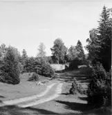 Sandtag vid Grimstorp, Ekängen.