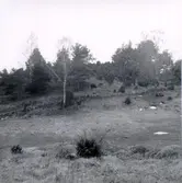 Göksoran. Bevarad hedmark.