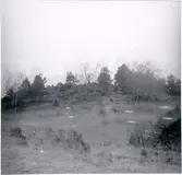 Göksoran. Bevarad hedmark.