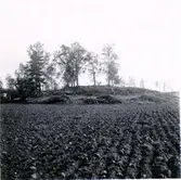 Bronsåldersröse från norr och sydväst.