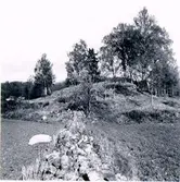 Bronsåldersröse fr. v.