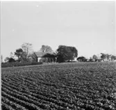 Åttagården öster om Midfalegatan.