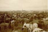 Hästbacken. Stormarknad 1910.