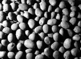Potatis.