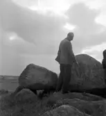 Kv. Lilla Björn, Wetterlinsgården, Hjelmarsrör gånggrift.