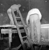 Bo Ericson och John Gustafsson Slöta.