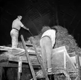 Bo Ericson och John Gustafsson Slöta.