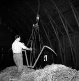 John Gustafsson på logen.