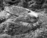 Skålgropssten. RAÄ2