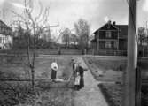 Lindbergs villa, tre personer arbetar i trädgården.