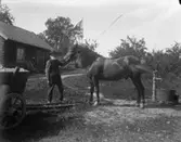 En man med en häst.
Byggnad i bakgrunden.