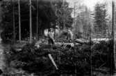 Två män.
Ernst Gustavsson och Erik Theon Olsson förbereder ladugårdsbygge.