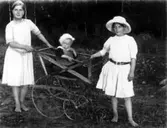Två flickor och en liten pojke i kärran.
Thea Elfrida, Sven Erik och Linnéa Olsson, Erik Theon Olssons barn.