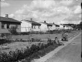 Bostadsområde med egnahemsvillor, sannolikt i Yttre Svartbäcken, Uppsala maj 1943