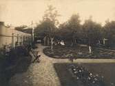 Eruths trädgård, Grusgångar fruktträd tomt nummer 2 inom kvarteret Merkurius, S mot N (1920?) 8127, 206, Kvarteret Sjöjungfrun, 89:0177.