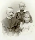 Ivar, Gösta och Karin Wahlberg. Karl J. Wahlbergs barn.
