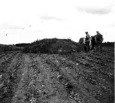 Ett röse, återställt efter undersökningen.