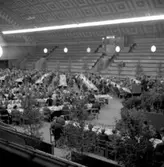 Kristna järnvägsmän.
16 augusti 1955