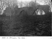 Ruinen före utgrävningen 1928. Foto mot sydost.