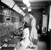 Gamla Telegrafstationen, från slutet av 1800-talet