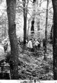 Höjentorps Kungsgård. Trädgården.