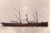 Fartyget Neptun, kongl. Hof-Fotograf S. M. Marcus Ystad, foto 1895 kollodiumbild.