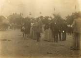 En festdag på stortorget i Trelleborg omkring år 1905, 3664.