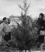 Herr och fru Fagerberg Ängelholm säljer en gran till Elsa Franzén Trelleborg 21/12.1969.