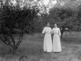 Gruppbild av två kvinnor fotograferade utomhus, i en trädgård med fruktträd.